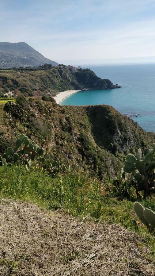 Appartement Dal Barone Agostino à Capo Vaticano Extérieur photo